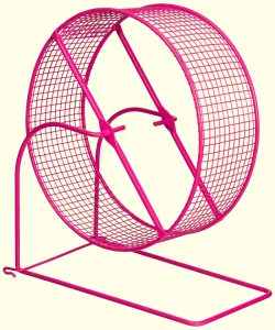 a pink hamster wheel