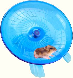 a hamster on a blue plastic disc