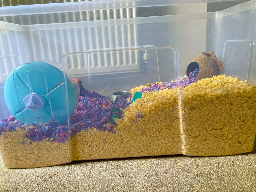 a hamster cage with a ball in it