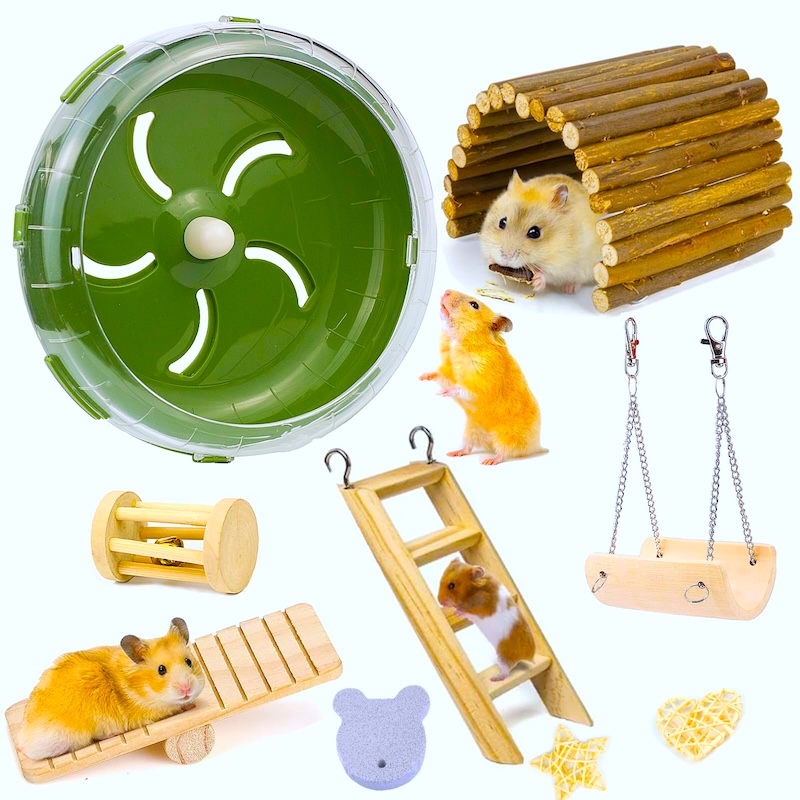 a hamster in different objects