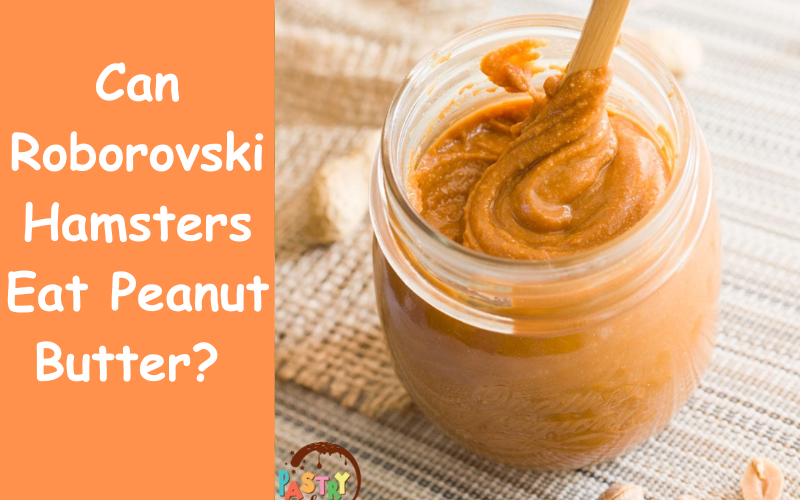 Can Roborovski Hamsters Eat Peanut Butter?
